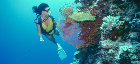 西班牙语+课外活动