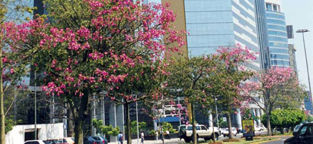 在秘鲁学习西班牙语